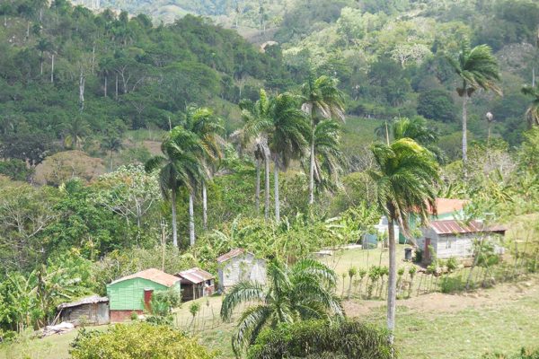 Mountain farming community